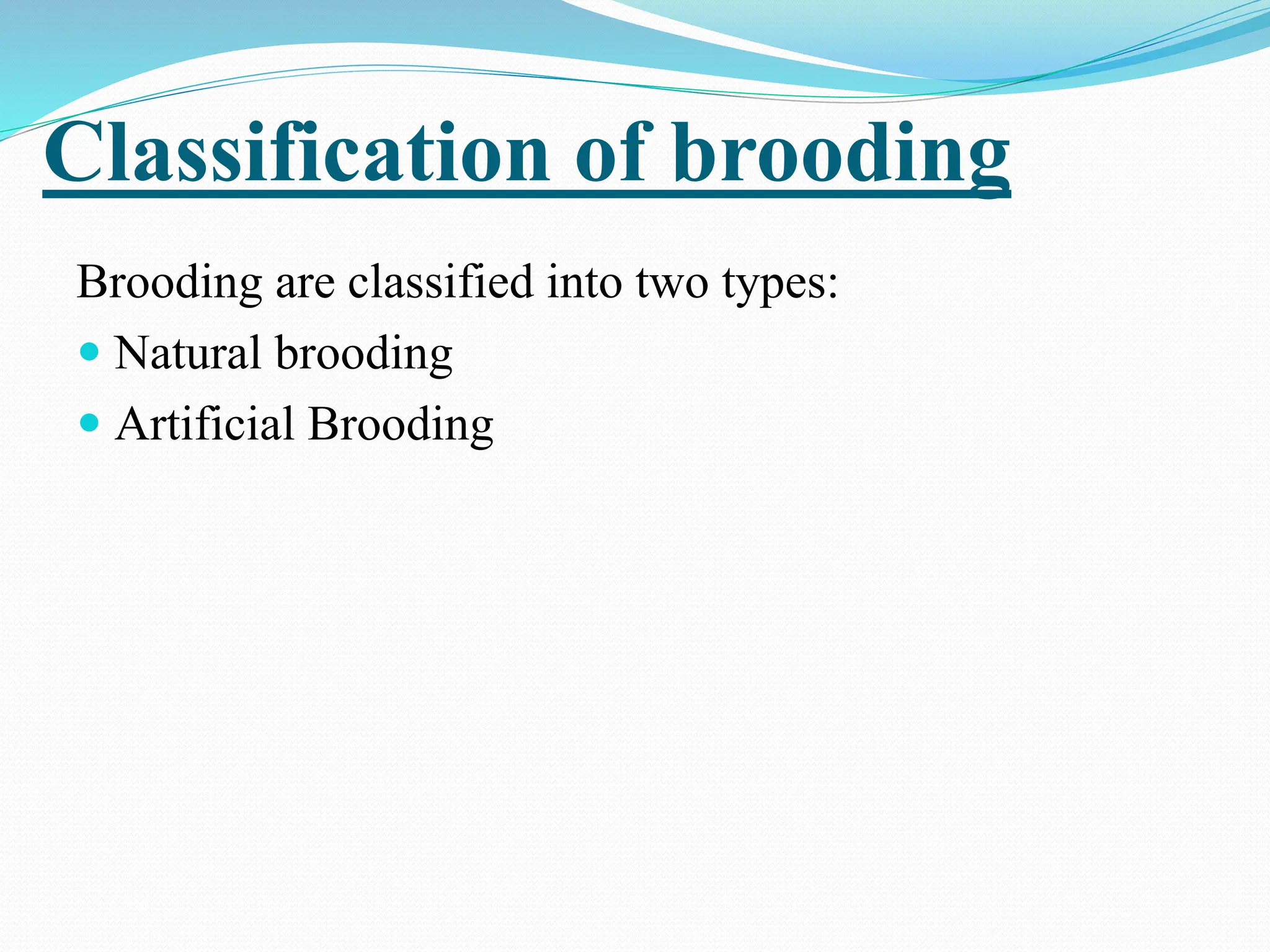 Practices related to brooding.pptx