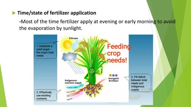 Practices to be adapted to improve fertilizer use efficiency in rice ...