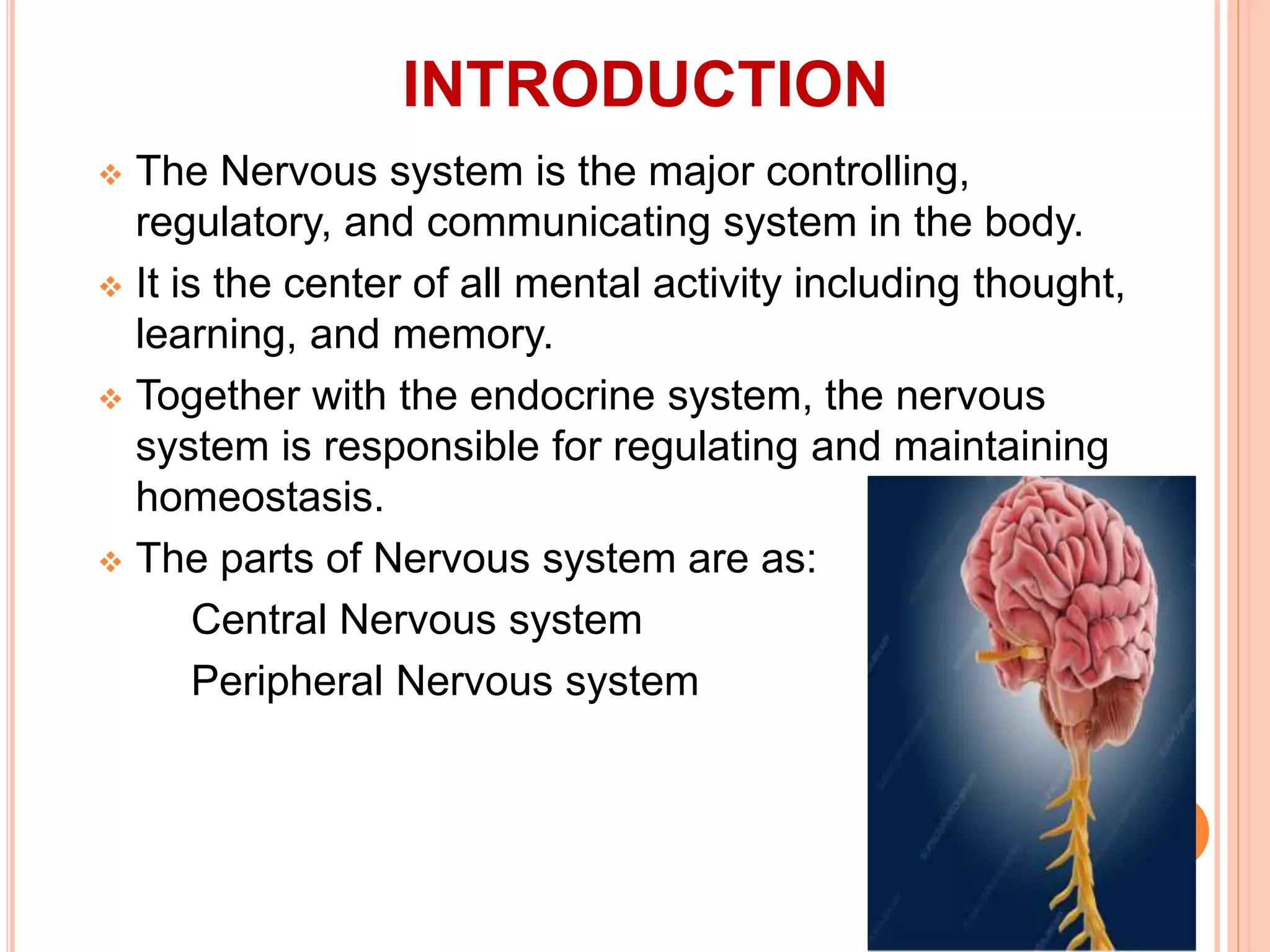 Structure and Functions of cerebrum | PPTX