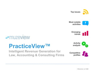 PracticeView™ Intelligent Revenue Generation for Law, Accounting & Consulting Firms © Muzeview, LLC 2008 