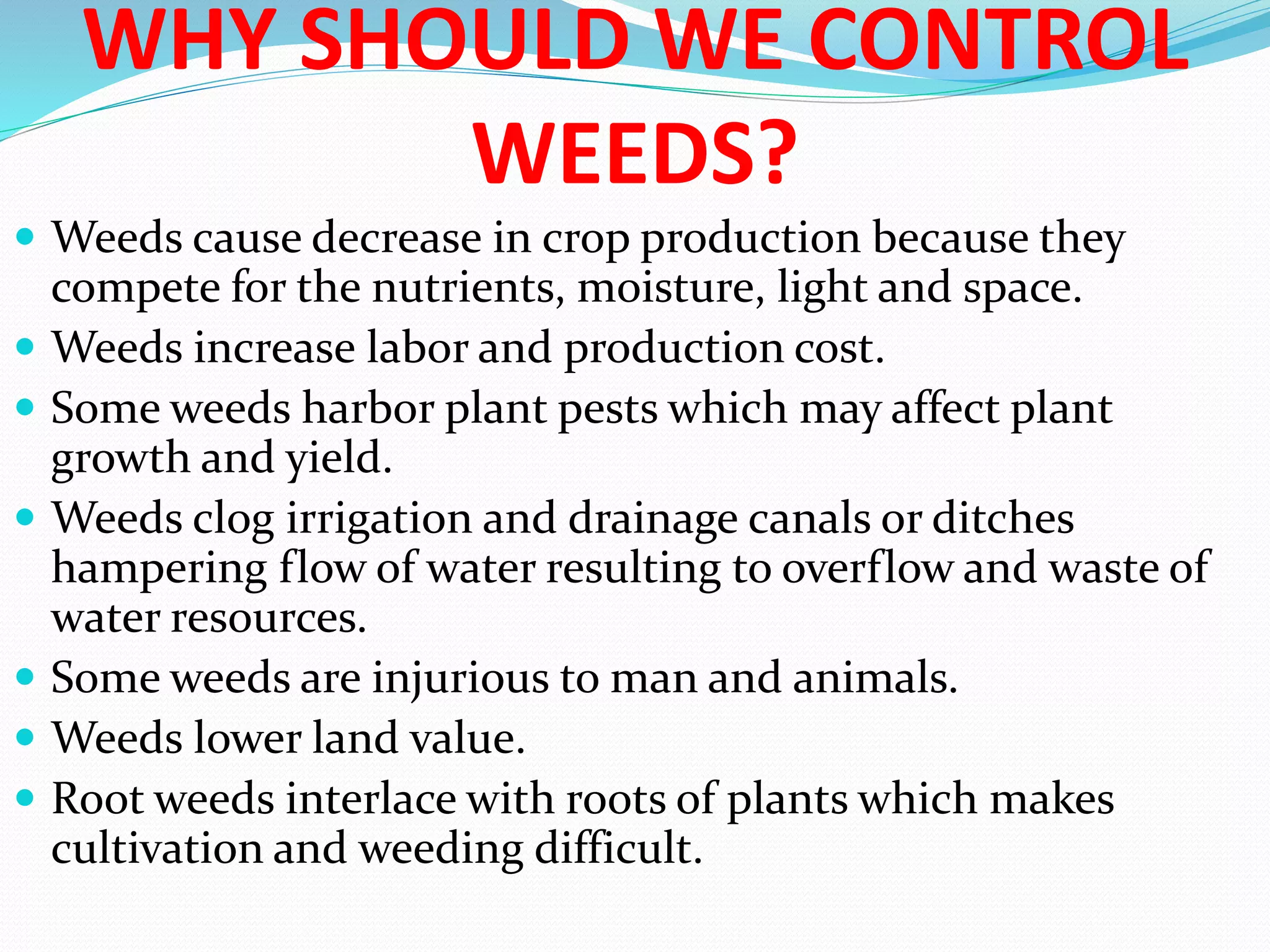 WHY SHOULD WE CONTROL
WEEDS?
 Weeds cause decrease in crop production because they
compete for the nutrients, moisture, light and space.
 Weeds increase labor and production cost.
 Some weeds harbor plant pests which may affect plant
growth and yield.
 Weeds clog irrigation and drainage canals or ditches
hampering flow of water resulting to overflow and waste of
water resources.
 Some weeds are injurious to man and animals.
 Weeds lower land value.
 Root weeds interlace with roots of plants which makes
cultivation and weeding difficult.
 