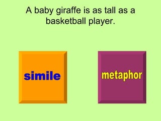 A baby giraffe is as tall as a basketball player. simile metaphor 
