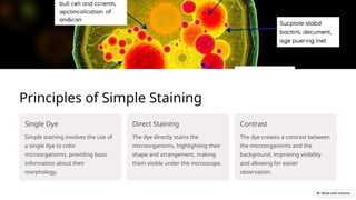 practic microbiology presentation .pptx