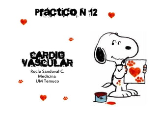 Práctico N°12



 Cardio
vascular
 Rocío Sandoval C.
    Medicina
   UM Temuco
 
