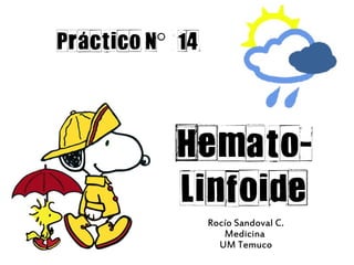 Práctico N°° 14



            Hemato-
            Linfoide
                  Rocío Sandoval C.
                     Medicina
                    UM Temuco
 
