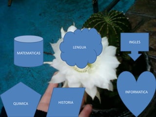 INGLES
                      LENGUA
 MATEMATICAS




                               INFORMATICA

QUIMICA        HISTORIA
 