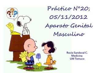 Práctico N°20;
 05/11/2012
Aparato Genital
  Masculino


      Rocío Sandoval C.
         Medicina
        UM Temuco
 