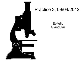 Práctico 3; 09/04/2012


         Epitelio
        Glandular
 