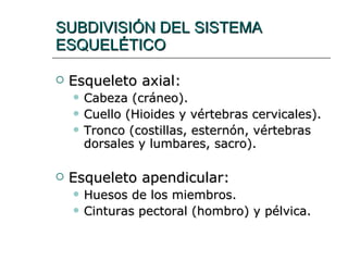 Practico columna | PPT