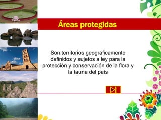 Áreas protegidas


   Son territorios geográficamente
   definidos y sujetos a ley para la
protección y conservación de la flora y
           la fauna del país
 