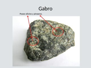 Gabro
Posee olivino y piroxeno.
 
