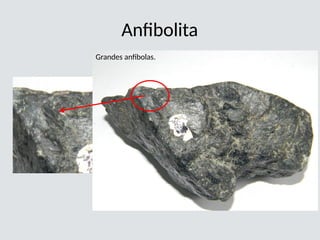 Anfibolita
Grandes anfibolas.
 