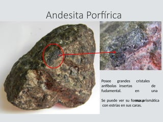 Andesita Porfírica
Posee
anfíbolas
grandes
insertas
cristales
de
en una
masa
fudamental.
Se puede ver su forma prismática
con estrías en sus caras.
 