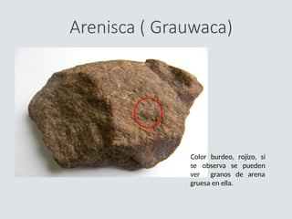 Arenisca ( Grauwaca)
se observa se
Color burdeo, rojizo, si
pueden
ver granos de arena
gruesa en ella.
 