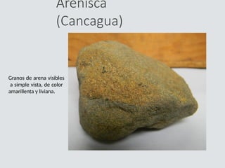 Arenisca
(Cancagua)
Granos de arena visibles
a simple vista, de color
amarillenta y liviana.
 