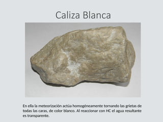 Caliza Blanca
En ella la meteorización actúa homogéneamente tornando las grietas de
todas las caras, de color blanco. Al reaccionar con HC el agua resultante
es transparente.
 