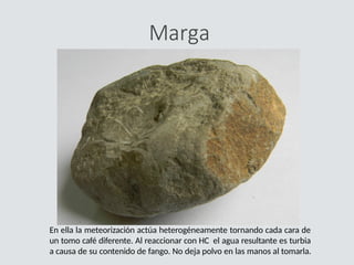 Marga
En ella la meteorización actúa heterogéneamente tornando cada cara de
un tomo café diferente. Al reaccionar con HC el agua resultante es turbia
a causa de su contenido de fango. No deja polvo en las manos al tomarla.
 