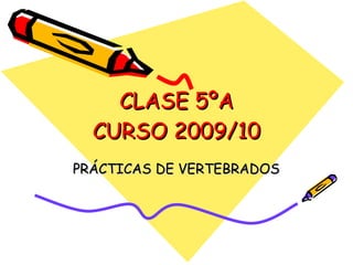 CLASE 5ºA CURSO 2009/10 PRÁCTICAS DE VERTEBRADOS 