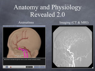 Anatomy and Physiology Revealed 2.0 Animations Imaging (CT & MRI) 