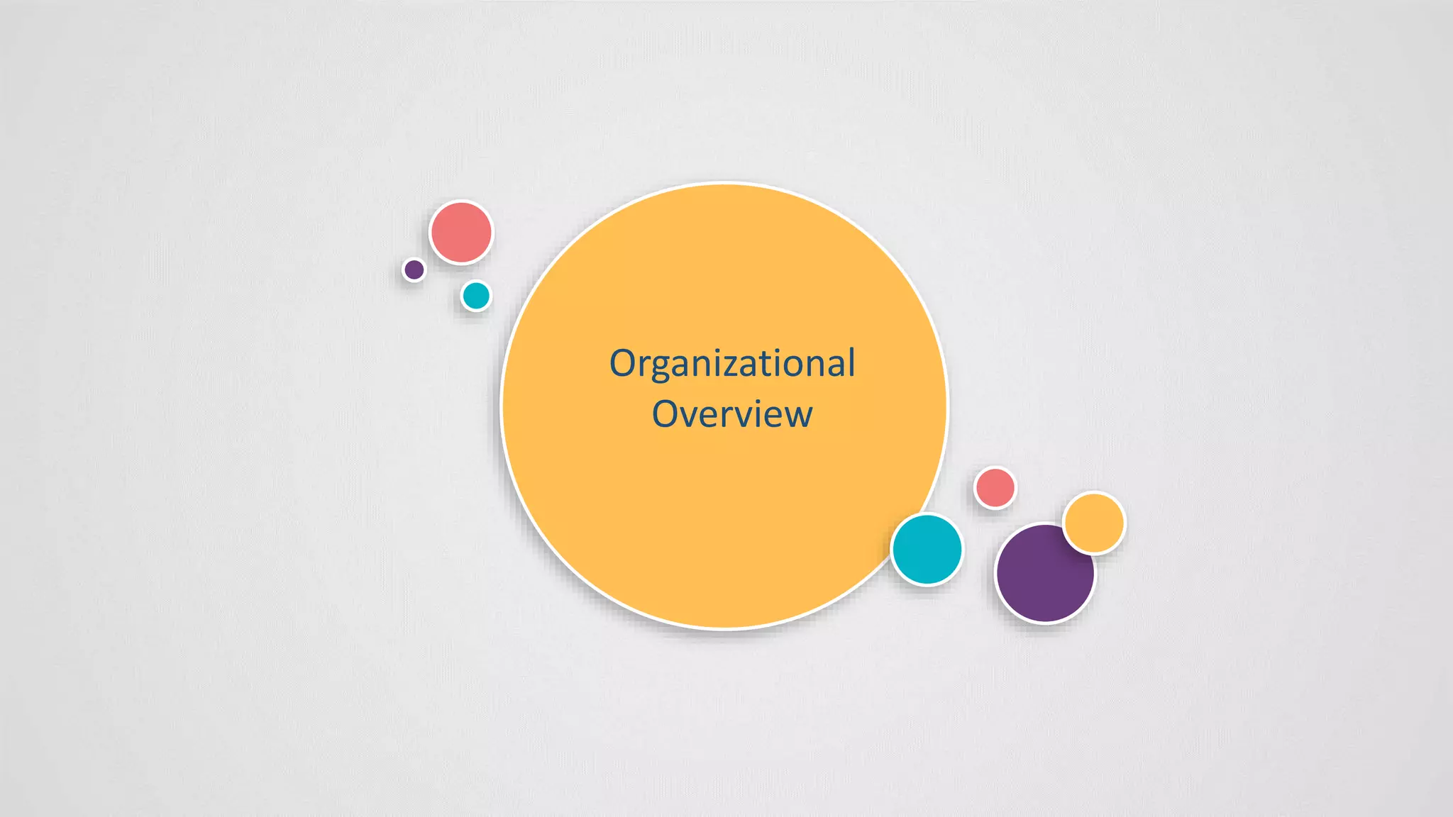 Organizational
Overview
 