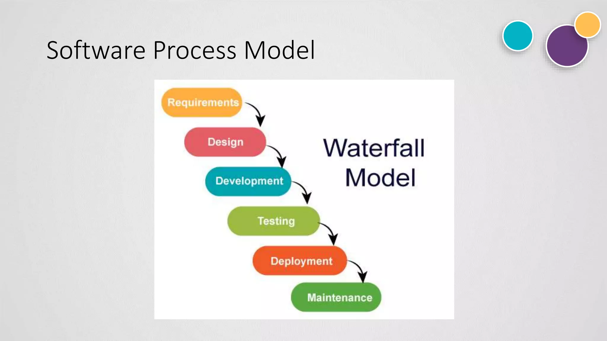 Software Process Model
 