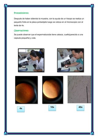 Procedimiento:
Después de haber obtenido la muestra, con la ayuda de un hisopo se realiza un
pequeño frotis en la placa portaobjeto luego se coloca en el microscopio con el
lente de 4x.
Observaciones:
Se puede observar que el espermatozoide tiene cabeza, cuello(parecido a una
capsula pequeña) y cola.

4x

10x

40x

 