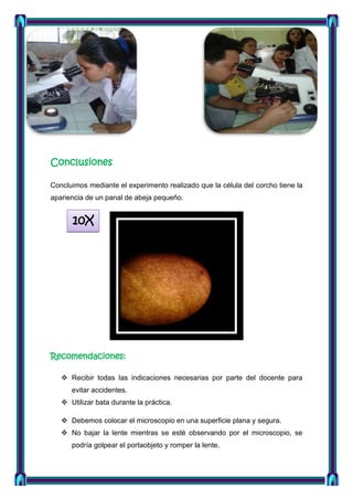 Conclusiones
Concluimos mediante el experimento realizado que la célula del corcho tiene la
apariencia de un panal de abeja pequeño.

10X

Recomendaciones:
 Recibir todas las indicaciones necesarias por parte del docente para
evitar accidentes.
 Utilizar bata durante la práctica.
 Debemos colocar el microscopio en una superficie plana y segura.
 No bajar la lente mientras se esté observando por el microscopio, se
podría golpear el portaobjeto y romper la lente.

 