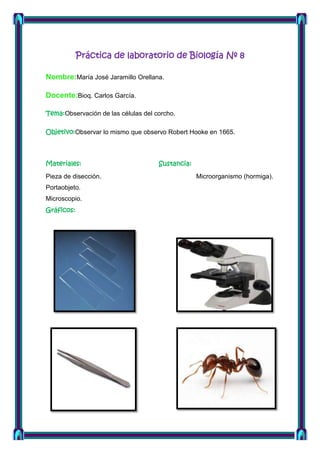 Práctica de laboratorio de Biología Nº 8
Nombre:María José Jaramillo Orellana.
Docente:Bioq. Carlos García.
Tema:Observación de las células del corcho.
Objetivo:Observar lo mismo que observo Robert Hooke en 1665.

Materiales:
Pieza de disección.
Portaobjeto.
Microscopio.
Gráficos:

Sustancia:
Microorganismo (hormiga).

 