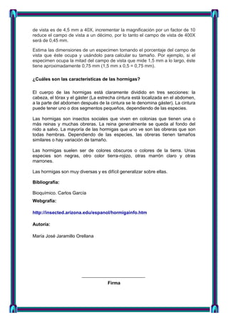 de vista es de 4,5 mm a 40X, incrementar la magnificación por un factor de 10
reduce el campo de vista a un décimo, por lo tanto el campo de vista de 400X
será de 0,45 mm.
Estima las dimensiones de un especimen tomando el porcentaje del campo de
vista que éste ocupa y usándolo para calcular su tamaño. Por ejemplo, si el
especimen ocupa la mitad del campo de vista que mide 1,5 mm a lo largo, éste
tiene aproximadamente 0,75 mm (1,5 mm x 0,5 = 0,75 mm).
¿Cuáles son las características de las hormigas?
El cuerpo de las hormigas está claramente dividido en tres secciones: la
cabeza, el tórax y el gáster (La estrecha cintura está localizada en el abdomen,
a la parte del abdomen después de la cintura se le denomina gáster). La cintura
puede tener uno o dos segmentos pequeños, dependiendo de las especies.
Las hormigas son insectos sociales que viven en colonias que tienen una o
más reinas y muchas obreras. La reina generalmente se queda al fondo del
nido a salvo. La mayoría de las hormigas que uno ve son las obreras que son
todas hembras. Dependiendo de las especies, las obreras tienen tamaños
similares o hay variación de tamaño.
Las hormigas suelen ser de colores obscuros o colores de la tierra. Unas
especies son negras, otro color tierra-rojizo, otras marrón claro y otras
marrones.
Las hormigas son muy diversas y es difícil generalizar sobre ellas.
Bibliografía:
Bioquímico. Carlos García
Webgrafía:
http://insected.arizona.edu/espanol/hormigainfo.htm
Autoría:
María José Jaramillo Orellana

Firma

 