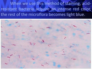Rest Bacteria Practise-4.pptx