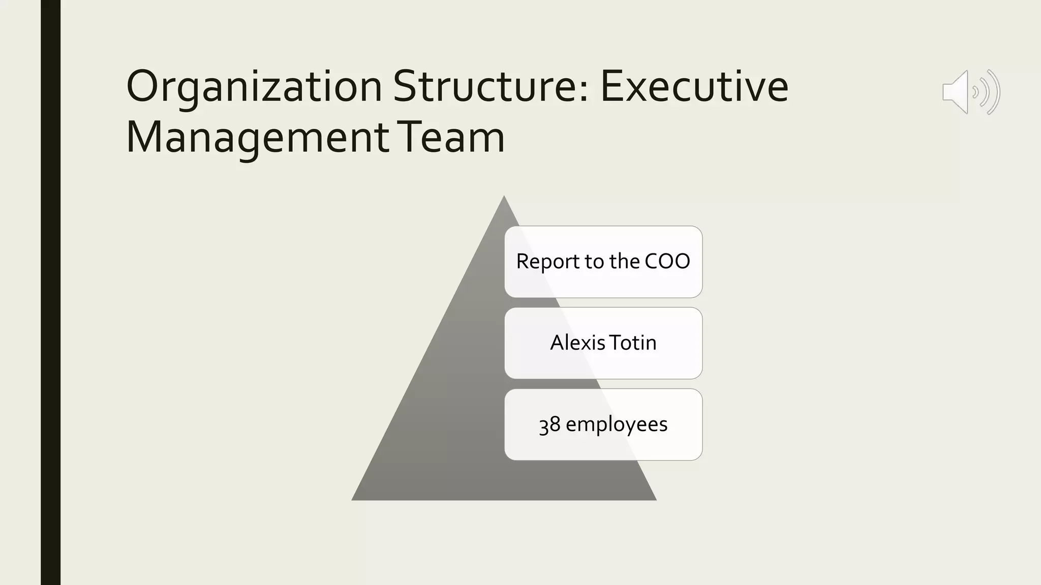 Organization Structure: Executive
ManagementTeam
Report to the COO
AlexisTotin
38 employees
 