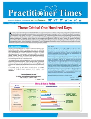 Practitioner times   issue 04