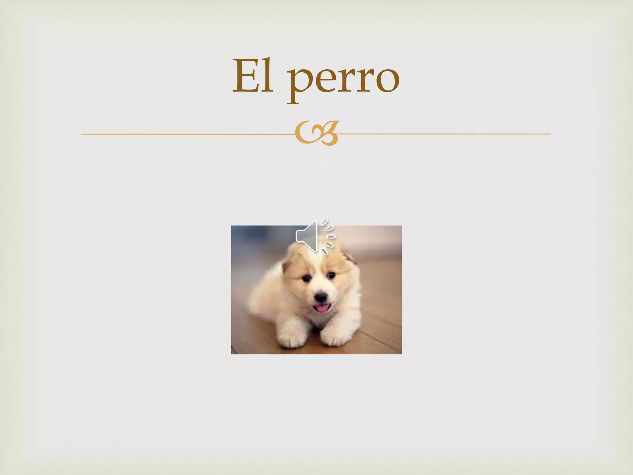 El perro 
 
 