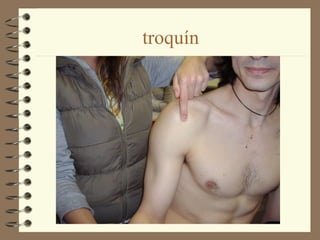 troquín
 