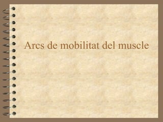Arcs de mobilitat del muscle
 