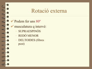 Rotació externa
Podem fer uns 80º
musculatura q intervé:
– SUPRAESPINÓS
– REDÓ MENOR
– DELTOIDES (fibres
  post)
 