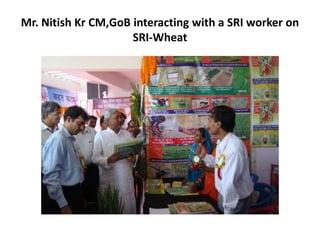 Mr. Nitish Kr CM,GoB interacting with a SRI worker on SRI-Wheat