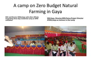 A camp on Zero Budget Natural Farming in GayaDDC and Director DRDA,Gaya with other officials inaugrating three days residential camp on NPM cultivationDM,Gaya, Director,DRD,Patna,Project Director ATMA,Gaya as trainees in the camp