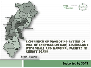 EXPERIENCE OF PROMOTING SYSTEM OF RICE INTENSIFICATION (SRI) TECHNOLOGY WITH SMALL AND MARGINAL FARMERS IN CHHATTISGARH Supported by SDTT  
