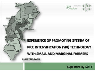 EXPERIENCE OF PROMOTING SYSTEM OF
RICE INTENSIFICATION (SRI) TECHNOLOGY
WITH SMALL AND MARGINAL FARMERS


                       Supported by SDTT
 
