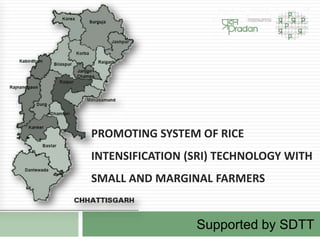 PROMOTING SYSTEM OF RICE
INTENSIFICATION (SRI) TECHNOLOGY WITH
SMALL AND MARGINAL FARMERS
Supported by SDTT
 