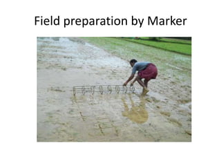 Field preparation by Marker
 