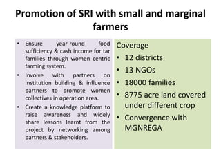 Promotion of SRI with small and marginal
farmers
• Ensure year-round food
sufficiency & cash income for tar
families through women centric
farming system.
• Involve with partners on
institution building & influence
partners to promote women
collectives in operation area.
• Create a knowledge platform to
raise awareness and widely
share lessons learnt from the
project by networking among
partners & stakeholders.
Coverage
• 12 districts
• 13 NGOs
• 18000 families
• 8775 acre land covered
under different crop
• Convergence with
MGNREGA
 