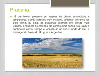 Pradaria:
 É um bioma presente em regiões de climas subtropicais e
temperados. Sendo parecido com estepes, podendo diferenciá-los
pelo clima, ou seja, as pradarias ocorrem em climas mais
úmidos, enquanto os estepes em climas mais secos. No Brasil é
conhecida como Pampa e localiza-se no Rio Grande do Sul, e
abrangendo áreas do Uruguai e Argentina.
 