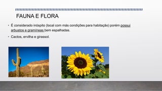 FAUNA E FLORA
• É considerado inóspito (local com más condições para habitação) porém possui
arbustos e gramíneas bem espalhadas.
• Cactos, ervilha e girassol.
 