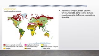 • Argentina, Uruguai, Brasil, Estados
Unidos, Canadá, zona central da Ásia,
zona temperada da Europa e sudeste da
Austrália.
 
