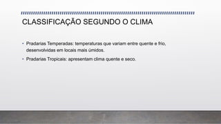CLASSIFICAÇÃO SEGUNDO O CLIMA
• Pradarias Temperadas: temperaturas que variam entre quente e frio,
desenvolvidas em locais mais úmidos.
• Pradarias Tropicais: apresentam clima quente e seco.
 
