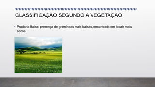 CLASSIFICAÇÃO SEGUNDO A VEGETAÇÃO
• Pradaria Baixa: presença de gramíneas mais baixas, encontrada em locais mais
secos.
 