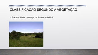 CLASSIFICAÇÃO SEGUNDO A VEGETAÇÃO
• Pradaria Mista: presença de flores e solo fértil.
 