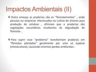 Impactos Ambientais (II)
 Outra ameaça as pradarias são os “florestamentos” , onde
pessoas ou empresas interessadas no cultivo de árvores para
produção de celulose , afirmam que a pradarias são
vegetações secundárias resultantes da degradação de
florestas .
 Para suprir esse “problema” transformam pradarias em
“florestas plantadas” geralmente por uma só espécie
(monocultura), causando enormes perdas ambientais .
 